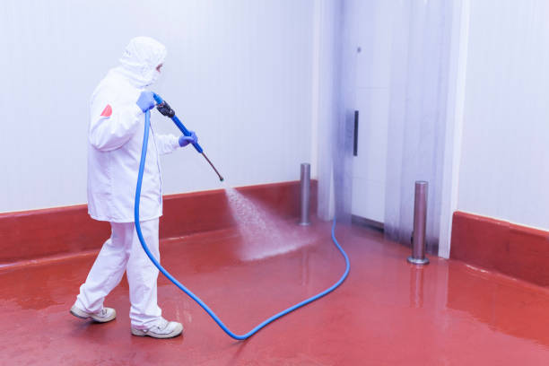 Pre-Holiday Cleaning in Garden Grove, FL