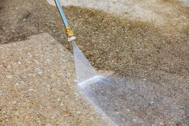 Best Animal Enclosure Cleaning  in Garden Grove, FL